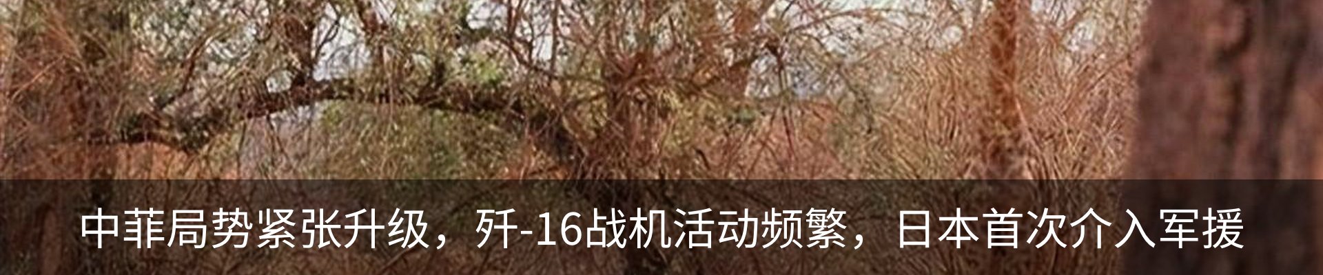 资讯动态